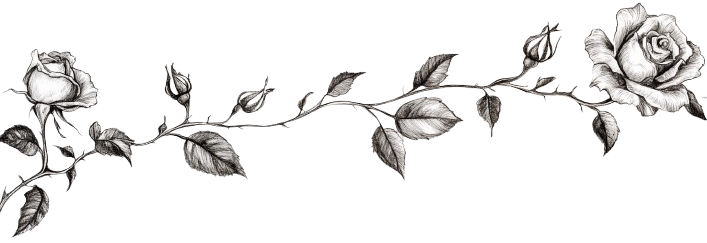 Illustration Graphic